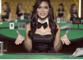 Bsports网页版2024最新版